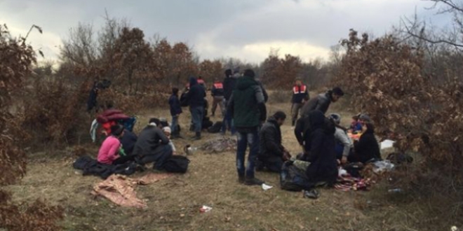 Edirne'de 175 kaçak göçmen yakalandı