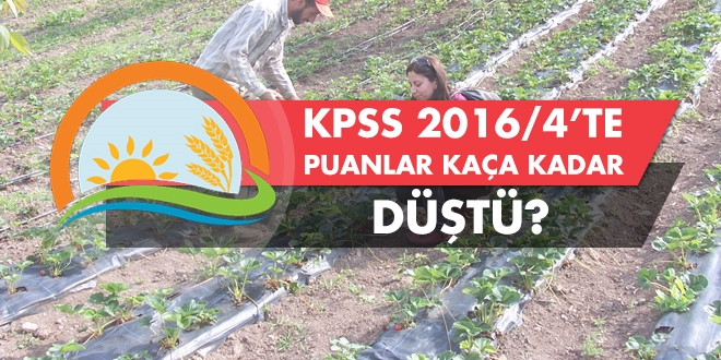 2016/4'te puanlar kaça kadar düştü?