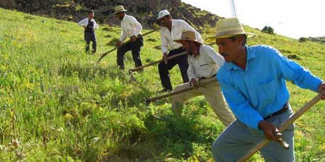 Elektrik borcu olan �ift�iye destek yok