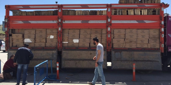 Van'da 200 bin paket kaçak sigara ele geçirildi