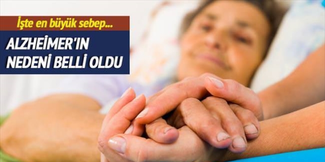 Alzheimer'ın nedeni Y kromozomu kaybı