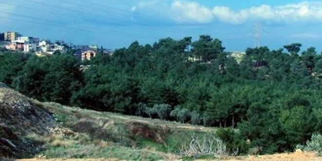 İzmir Büyükşehir Belediye Meclisi'nin 175 üyesine beraat
