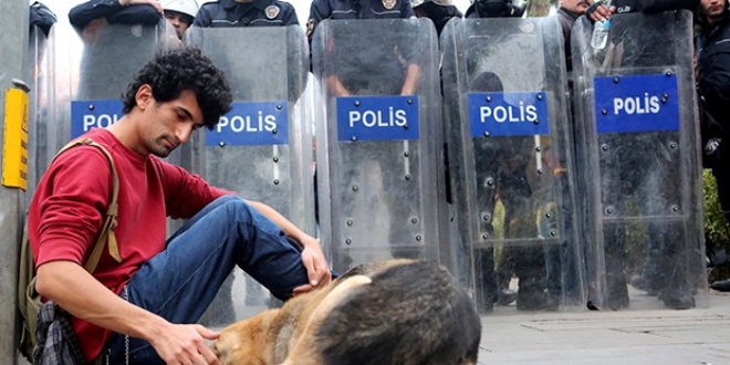 Sokak köpeğini seven protestocuya polise hakaretten ceza