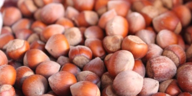 F�nd�k �reticilerinin g�z� kula�� destek �demesinde