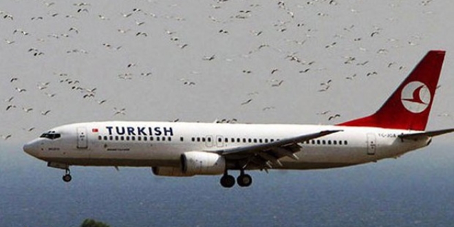 THY uçağına kuş çarptı, pist kapandı