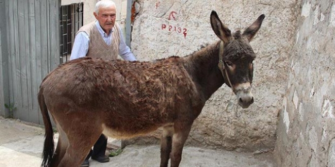 Komşusuna inat 'Kara Şimşek'e kimlik çıkarttı