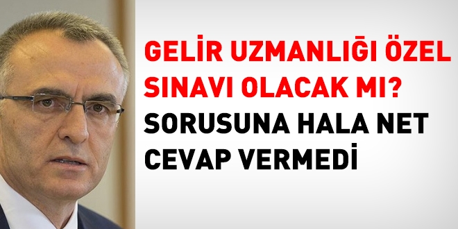 Ağbal, Gelir uzmanlığı özel sınavı olacak mı, sorusuna hala cevap vermedi