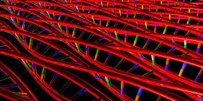 21. y�zy�la k�k h�cre tedavisi damga vuracak