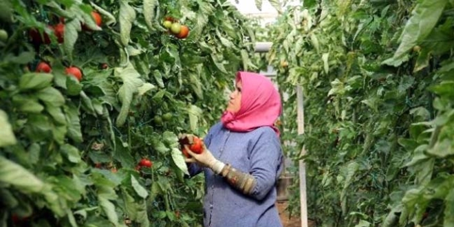 Kırsal kesimdeki kadın güçlenecek