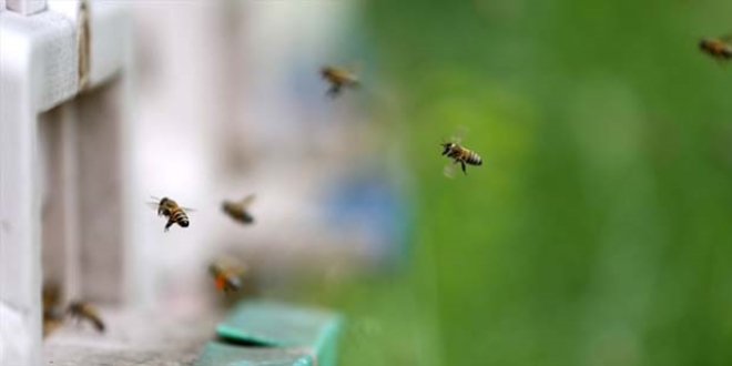 Ramazanda ar� �r�nleri t�ketilmesi tavsiyesi