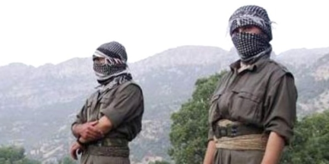 Ağrı'da 2 terörist etkisiz hale getirildi
