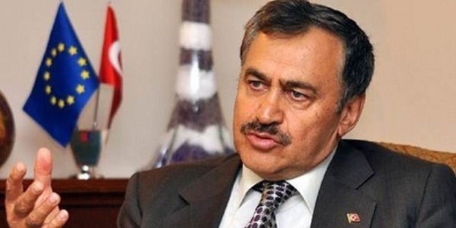Orman Bakanlığından Ceviz Eylem Planı