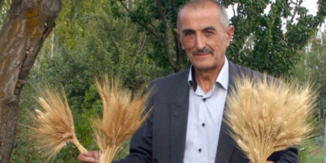 5 bin yıllık yerli tohumu kendi üretti