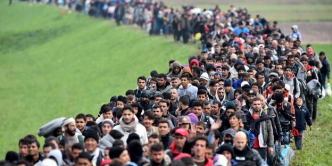 Türkiye eğitimli göçmene Avrupa'ya gitme izni vermedi