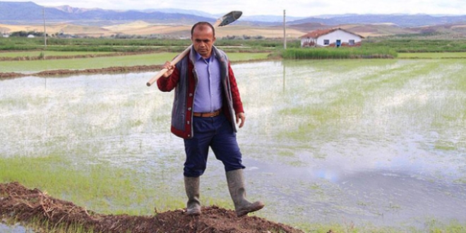 Sabah çiftçi akşam öğrenci
