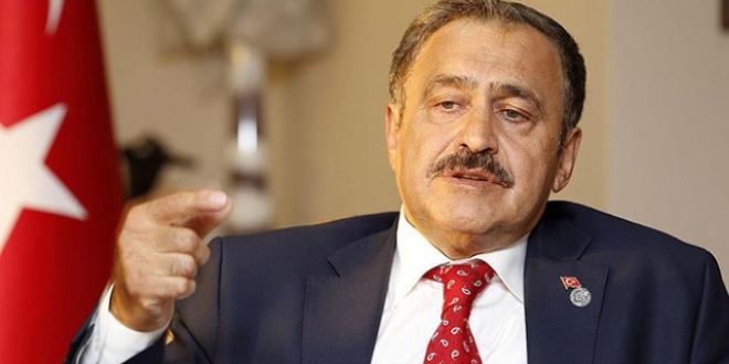 Dünyanın en yaşlı 5 ağacından biri Türkiye'de