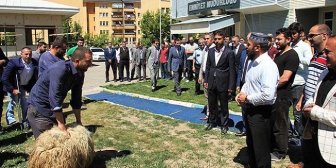 Terör saldırısının önlendiği Muş'ta 'şükür kurbanı' kesildi