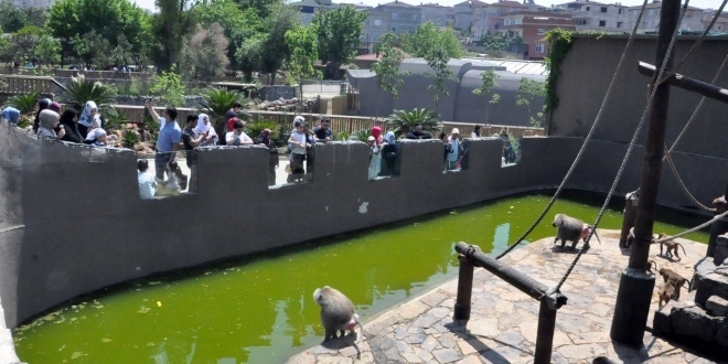 Sıcak hava hayvanat bahçesi sakinlerini etkiledi