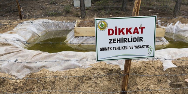 Bu havuzlar, ormanlar� zararl�lardan koruyor