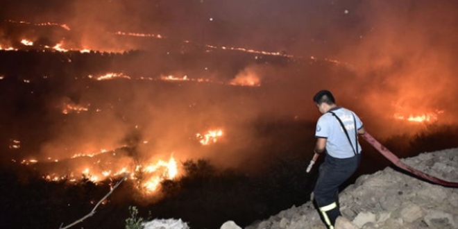 Bodrum'daki orman yangını hala kontrol altına alınamadı