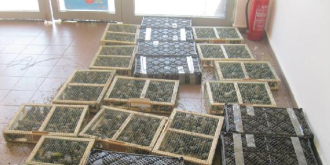 Kuş kaçakçısına 460 bin lira ceza