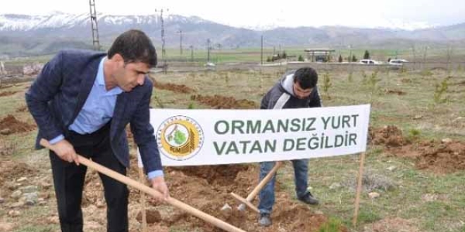 Sakarya'da 57 bin fidan toprakla buluştu
