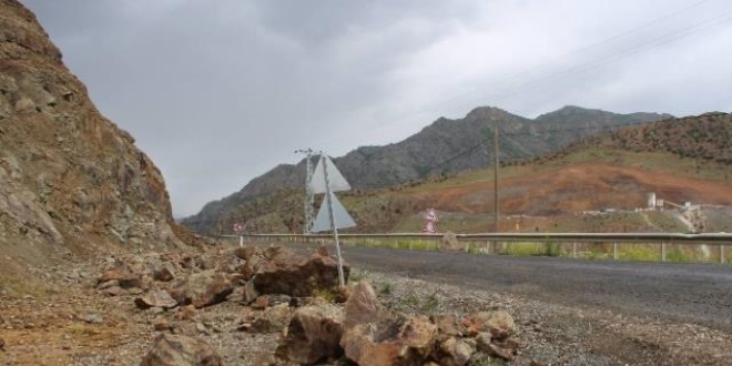 Artvin'de sağanak nedeniyle 4 noktada heyelan meydana geldi