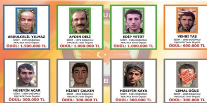 Teröristler Türkçe-Kürtçe broşürle aranıyor