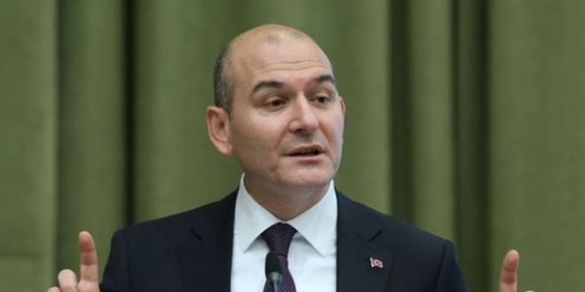 Soylu: Türkiye etrafındaki coğrafyanın serinlik ağacı gibidir