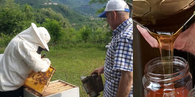 Bal rekoltesi azaldı, bal fiyatlarında artış bekleniyor