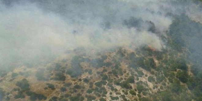 Çanakkale- Balıkesir sınırında orman yangını