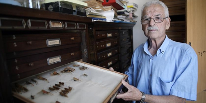 Emekli profesr 25 bin bceklik koleksiyon oluturdu