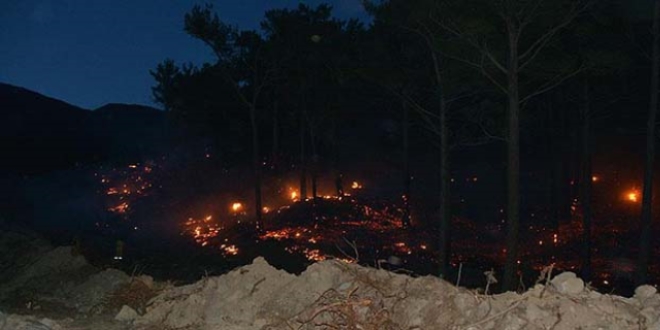 Kaz Dağları'nda orman yangını