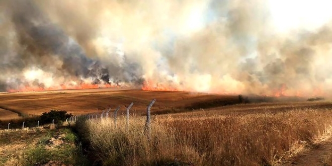 G�lba��'nda 700 d�n�m ekili alan k�l oldu