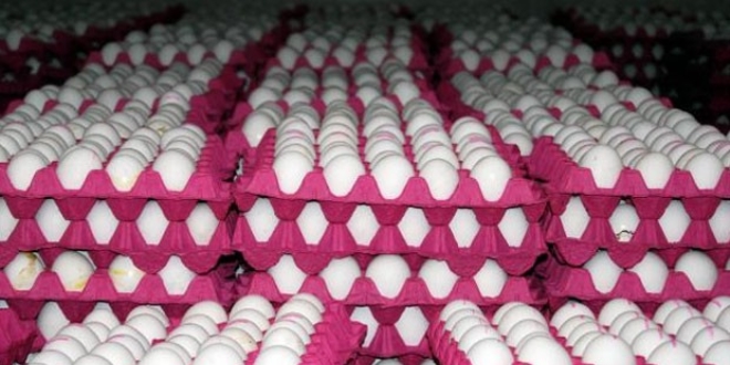 Yumurta �retimi may�sta azald�