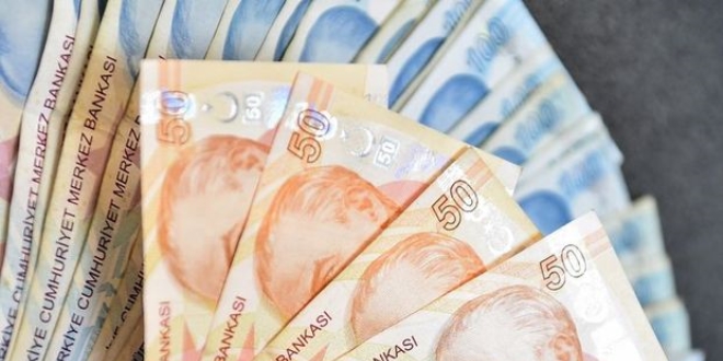 Milli yat�r�mc� T�rk Liras�'na sahip ��kt�