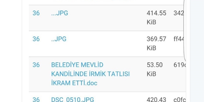 Darbe sonrasında sıra WikiLeaks belgelerinde