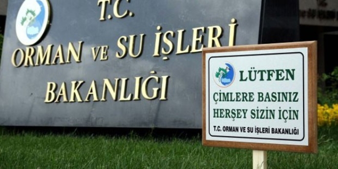 Orman Bakanlığı'nda 197, RTÜK'te 29 personel açığa alındı