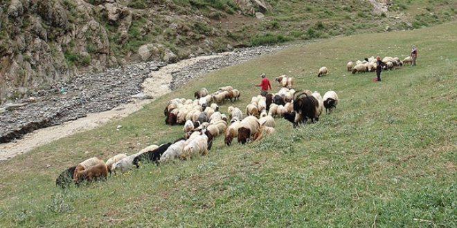 FET�'den 'destek primi' sahtekarl���