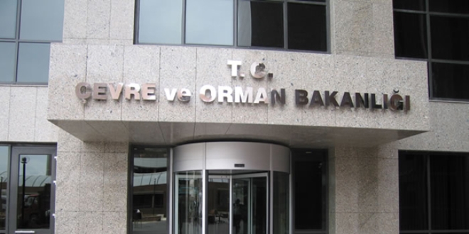 Bu hayvanları vurmanın cezası 75 bin TL