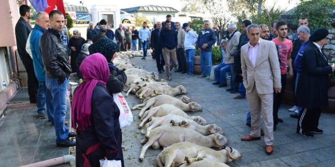Darbe girişiminin engellenmesi dolayısıyla 99 şükür kurbanı kestirildi