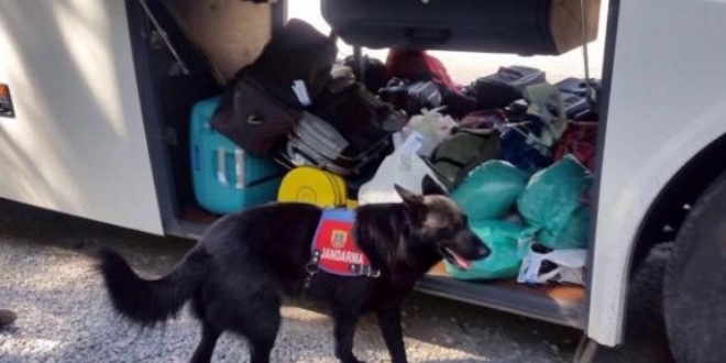 Batman'da Yolcu otobsnde 3,8 kilogram esrar ele geirildi