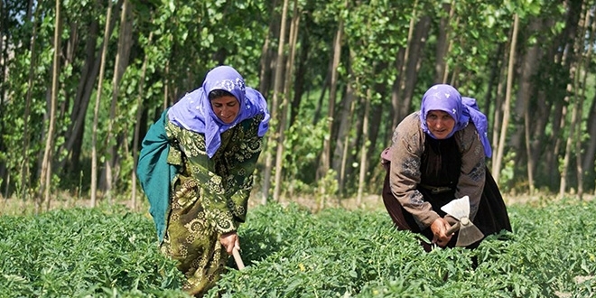 Geçici işçinin hakkına özel istihdam koruması