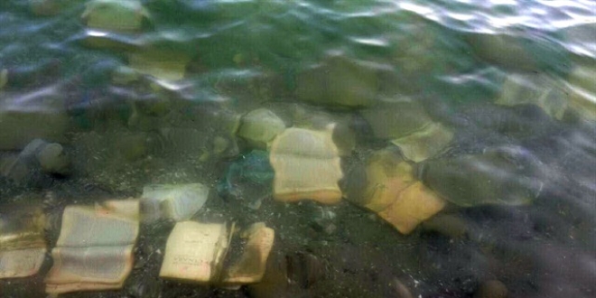 Mersin'de denize atlan FET ile ilgili CD ve dkmanlar sudan karld