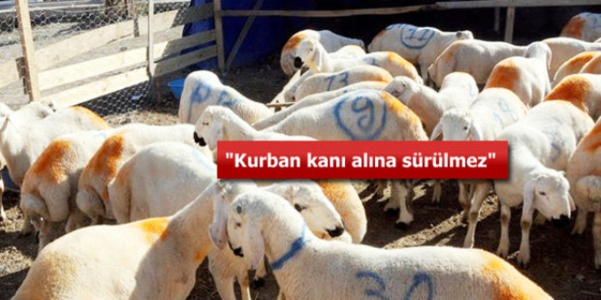 Diyanet: Kurban kanı alna sürülmez