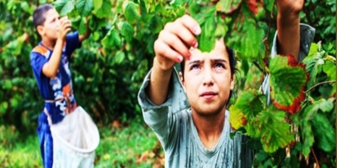 Çocuk işçi çalıştıranlara para cezası