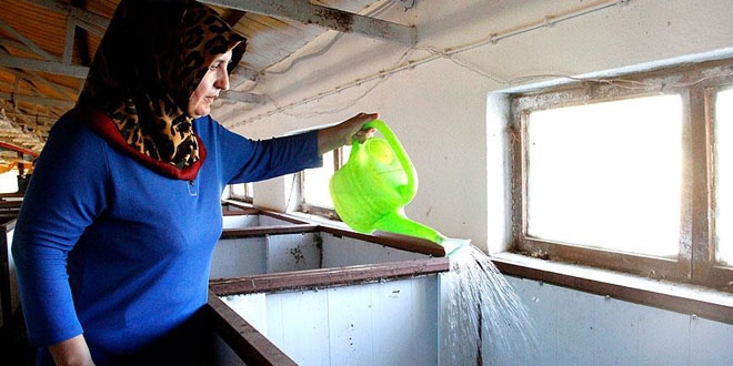 Foto�raf�na bile bakamad��� solucanlar ekmek kap�s� oldu