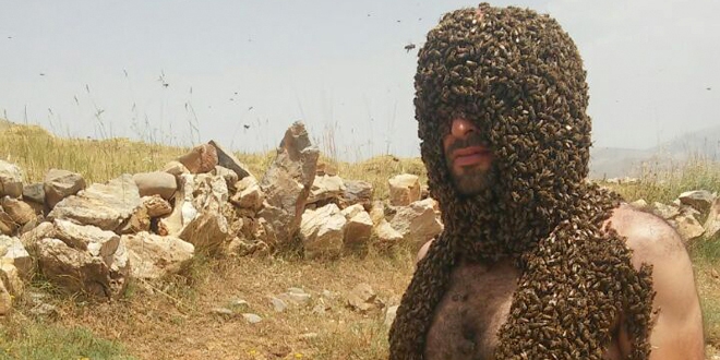 Arılarla Guinness'e girmek istiyor