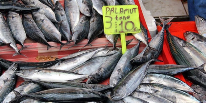 Palamut fiyat� 3 liraya d��t�