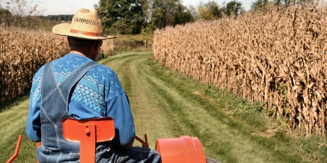 Ter�r ma�duru �ift�iye destek